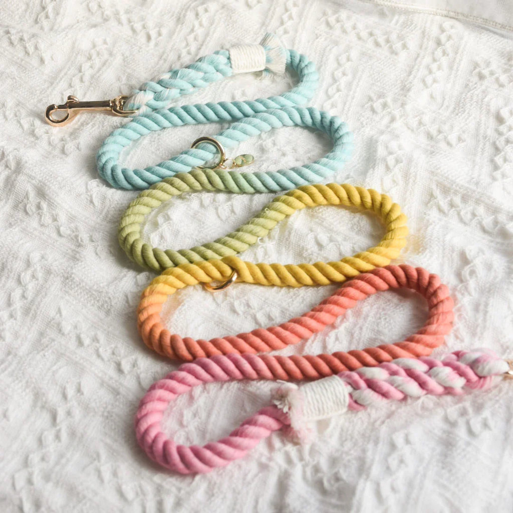 ROPE LEASH - SWEET LOLLIE